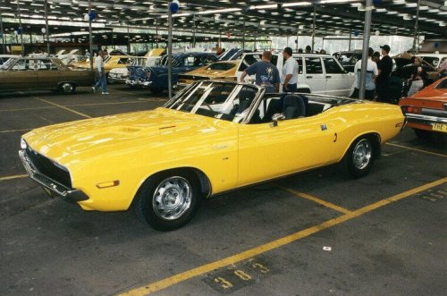 The Most Collectible Dodge Muscle Cars Today