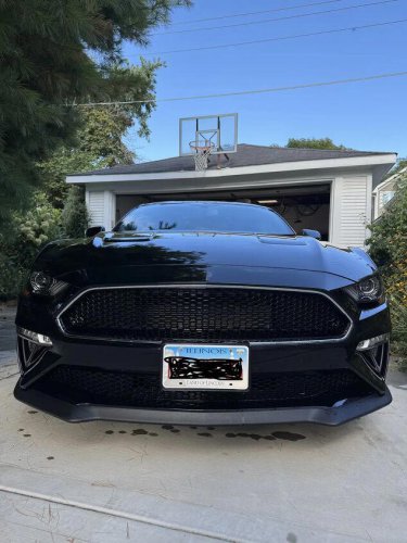 2019 Ford Mustang Bullitt For Sale