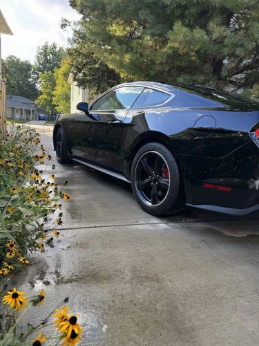 2019 Ford Mustang Bullitt For Sale