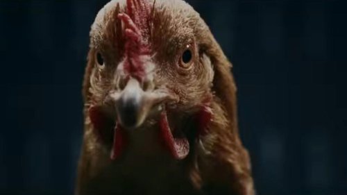 The 20 Most Bizarre Car Commercials Ever Made