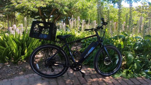 10 Bikes Perfect For Beginners &amp; 10 Only For The Pros