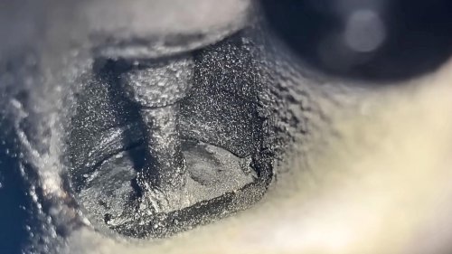 10 Common Complaints About The Ford F-Series &amp; 10 Things Everyone Loves