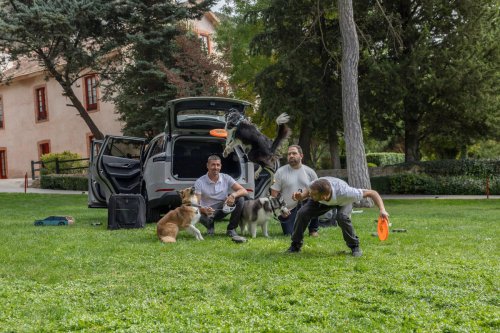 El Jaecoo 5 va a ser el coche favorito de tu mascota, y hay buenos argumentos para ello