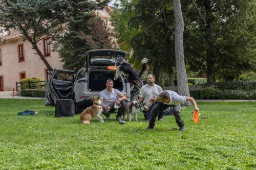 El Jaecoo 5 va a ser el coche favorito de tu mascota, y hay buenos argumentos para ello