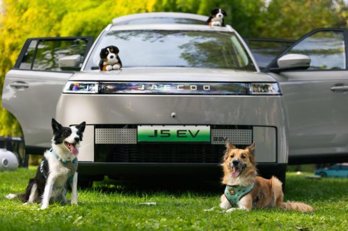 El Jaecoo 5 va a ser el coche favorito de tu mascota, y hay buenos argumentos para ello