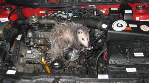 10 Things That Go Wrong When You Don’t Drive Your Car &amp; 10 Ways To Prevent Them