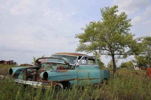 Junkyard Discoveries of Windy Hill Auto Parts in New London, Minnesota