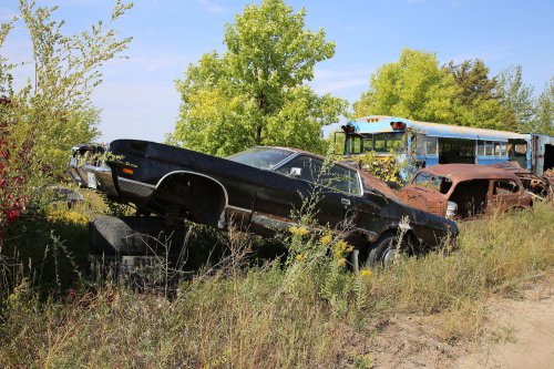 Junkyard Discoveries of Windy Hill Auto Parts in New London, Minnesota
