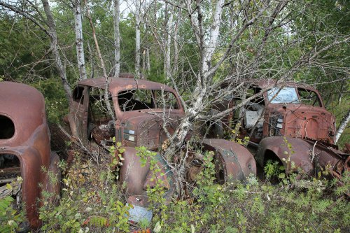 Junkyard Discoveries of Windy Hill Auto Parts in New London, Minnesota