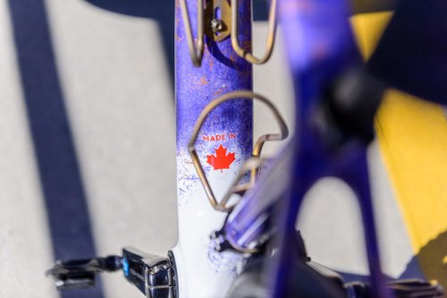 I Wanted a Tarmac That Fits 40s. The Surveyor Delivers What No Other Race Bike Can.