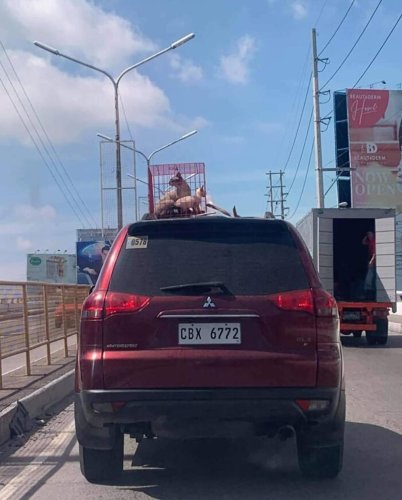 Needless Cars Driven by Needlessly Dull People