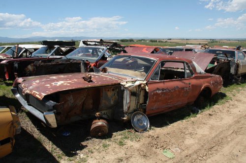Our favourite junkyard finds at Martin Supply in Windsor, Colorado