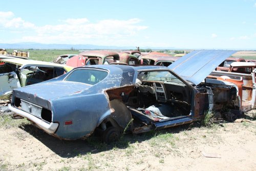 Our favourite junkyard finds at Martin Supply in Windsor, Colorado