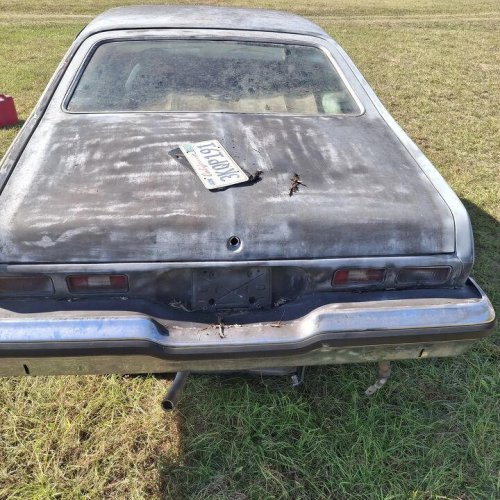 1974 Chevrolet Nova For Sale