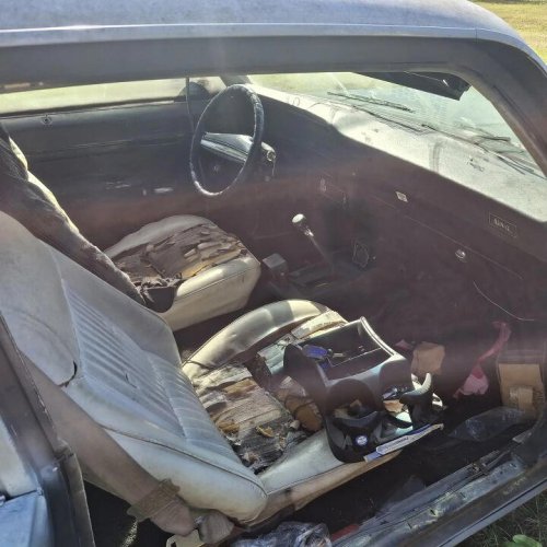 1974 Chevrolet Nova For Sale