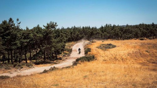 The Suzuki adventure bike that leads the segment in stress-free ownership