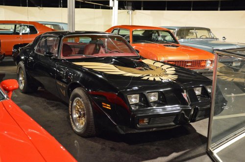 Fotos: La colección de coches más extraña del mundo