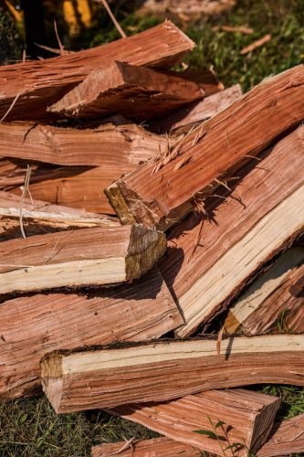 Wood is easy to use for your smokeless fire pit, but here’s why you should consider other fuel types