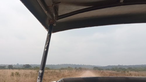 20 foreign road rules Americans wouldn't understand