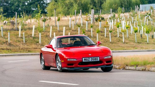 Enjoy being a used car enthusiast while you can still afford it