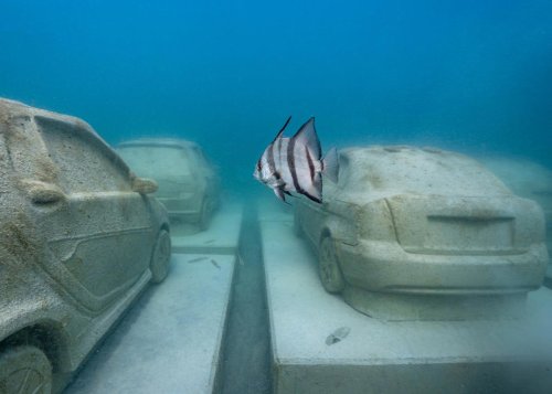 Este atasco submarino en Miami Beach es a la vez una obra de arte y una intervención ecológica