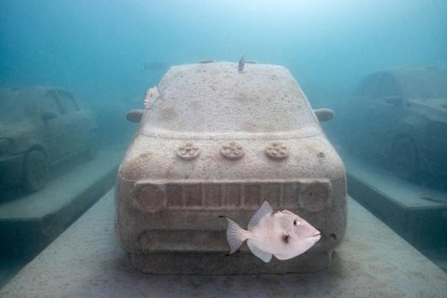 Este atasco submarino en Miami Beach es a la vez una obra de arte y una intervención ecológica
