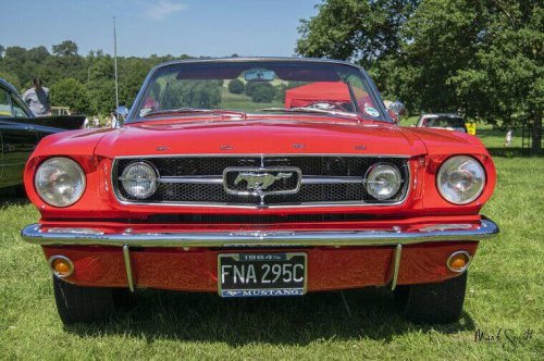 Classic muscle car restorations: Which models are actually profitable?