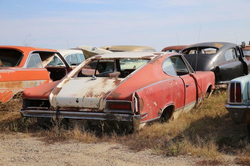 Junkyard treasures from French Lake Auto Parts, Annandale, Minnesota