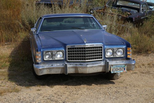 Junkyard treasures from French Lake Auto Parts, Annandale, Minnesota