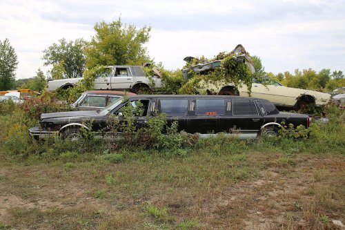 Our favourite junkyard discoveries at Rohners Auto Parts, Willmar, Minnesota