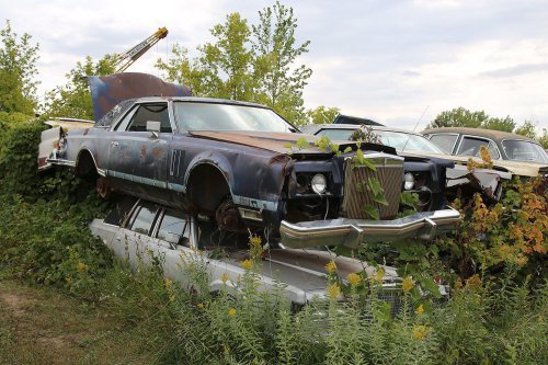 Our favourite junkyard discoveries at Rohners Auto Parts, Willmar, Minnesota