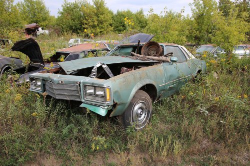Our favourite junkyard discoveries at Rohners Auto Parts, Willmar, Minnesota