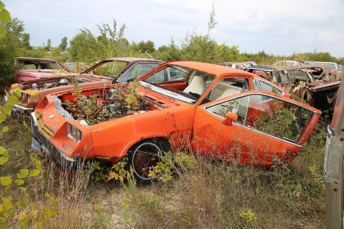 Our favourite junkyard discoveries at Rohners Auto Parts, Willmar, Minnesota