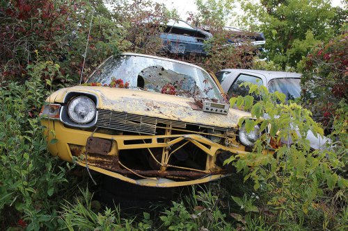 Our favourite junkyard discoveries at Rohners Auto Parts, Willmar, Minnesota