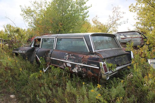 Our favourite junkyard discoveries at Rohners Auto Parts, Willmar, Minnesota