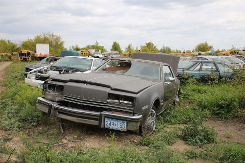 Our favourite junkyard discoveries at Rohners Auto Parts, Willmar, Minnesota