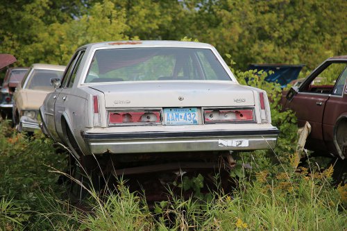 Our favourite junkyard discoveries at Rohners Auto Parts, Willmar, Minnesota