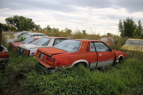 Our favourite junkyard discoveries at Rohners Auto Parts, Willmar, Minnesota