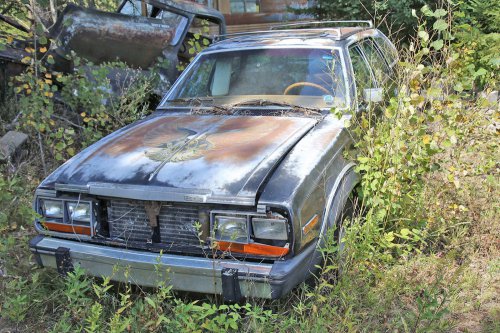 Junkyard discoveries from Cooley’s Statewide Scrap &amp; Salvage in Eau Claire, Wisconsin