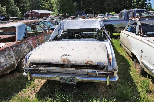Mopar magic: Junkyard discoveries of Wildcat Auto Wrecking, Sandy, Oregon