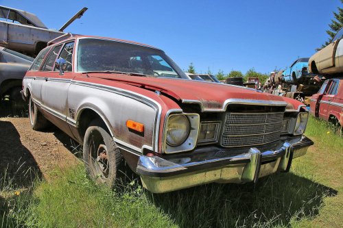 Mopar magic: Junkyard discoveries of Wildcat Auto Wrecking, Sandy, Oregon