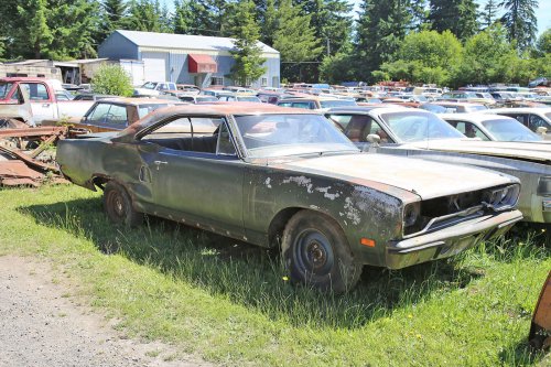 Mopar magic: Junkyard discoveries of Wildcat Auto Wrecking, Sandy, Oregon