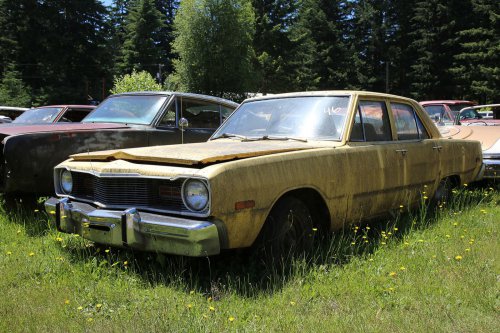 Mopar magic: Junkyard discoveries of Wildcat Auto Wrecking, Sandy, Oregon