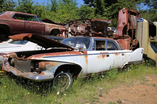 Mopar magic: Junkyard discoveries of Wildcat Auto Wrecking, Sandy, Oregon