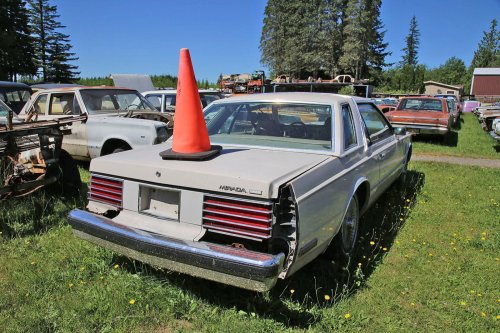 Mopar magic: Junkyard discoveries of Wildcat Auto Wrecking, Sandy, Oregon