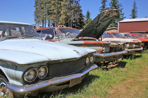 Mopar magic: Junkyard discoveries of Wildcat Auto Wrecking, Sandy, Oregon