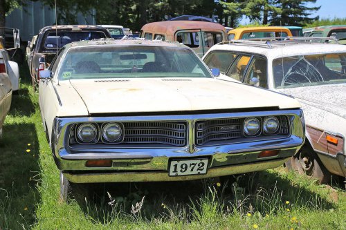 Mopar magic: Junkyard discoveries of Wildcat Auto Wrecking, Sandy, Oregon