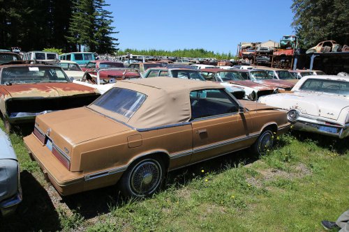 Mopar magic: Junkyard discoveries of Wildcat Auto Wrecking, Sandy, Oregon