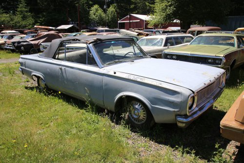 Mopar magic: Junkyard discoveries of Wildcat Auto Wrecking, Sandy, Oregon