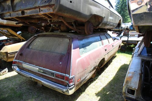 Mopar magic: Junkyard discoveries of Wildcat Auto Wrecking, Sandy, Oregon